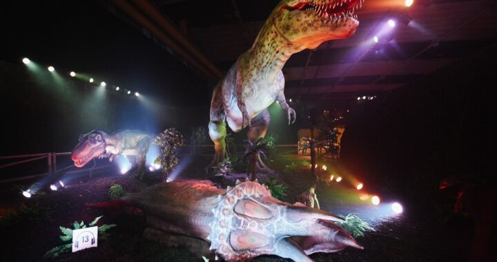 Expo Dino Wereld