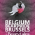 Célébration de l'inclusivité à la Belgium Bear Pride Brussels 2023