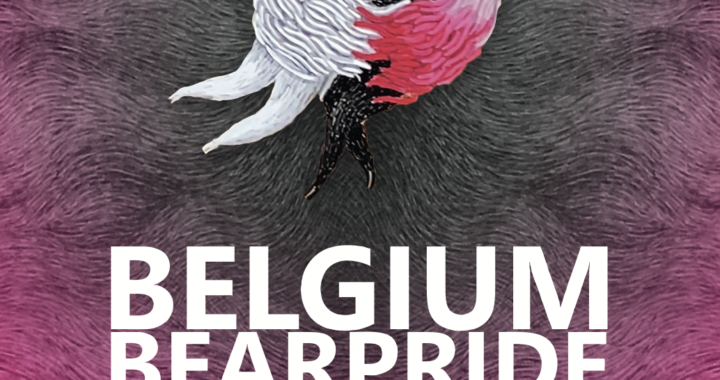 Inclusiviteit vieren op Belgium Bear Pride Brussel 2023