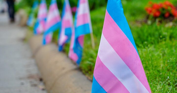 Why Are Some Lesbian Women Fighting Against Trans Rights?