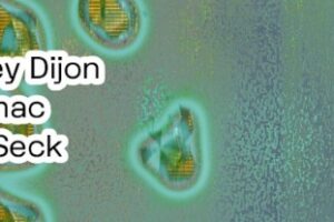 House star Honey Dijon at Fuse on friday 12 december