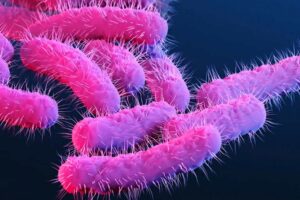 Drug-resistant Shigella is rising among gay and bisexual men in England