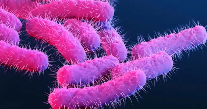 Drug-resistant Shigella is rising among gay and bisexual men in England