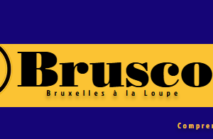 Beyond the rent rant: Bruscope puts Brussels life under the lens